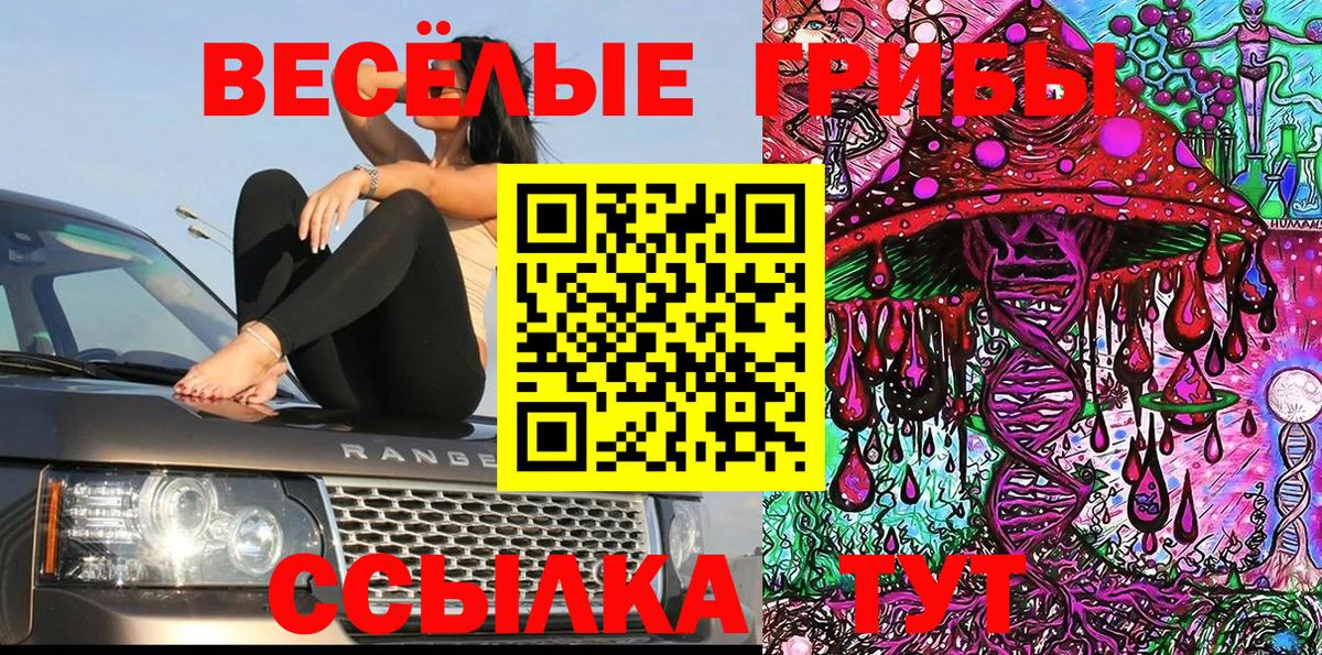 Галлюциногенные грибы GOLDEN TEACHER Мелеуз