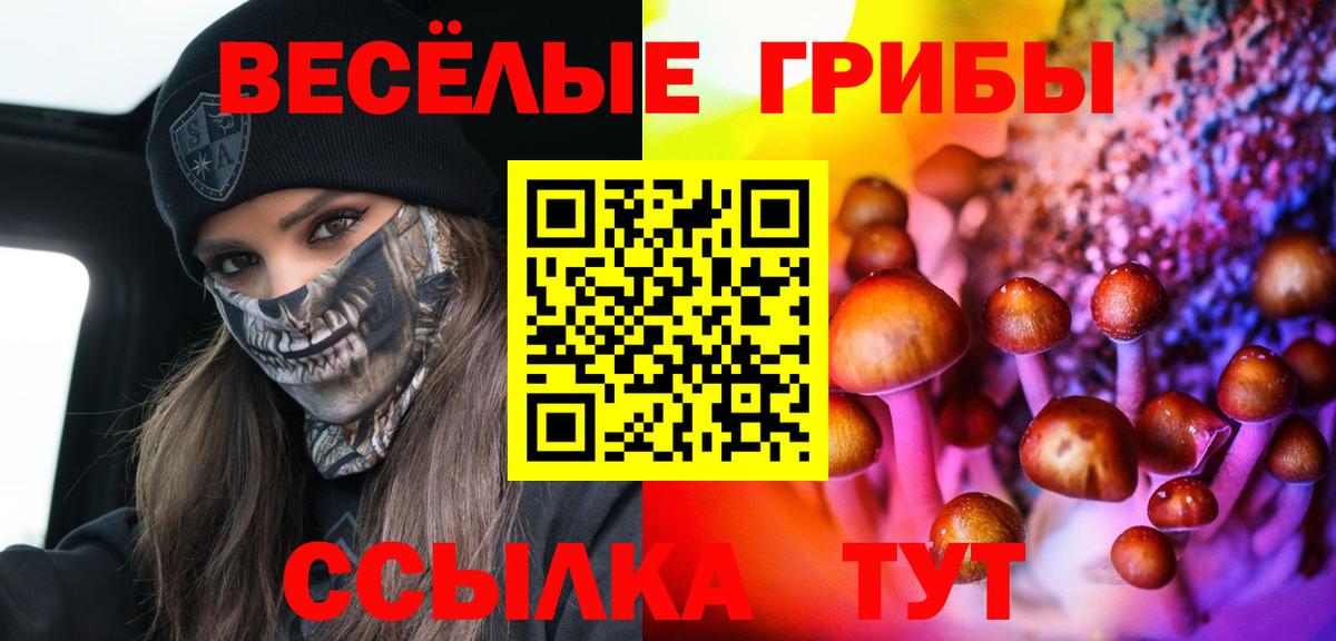 Псилоцибиновые грибы мицелий  Вход с VPN  Галлюциногенные грибы ЛСД  Мелеуз 
